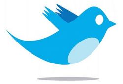 Twitter_bird