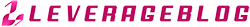 leverageblog